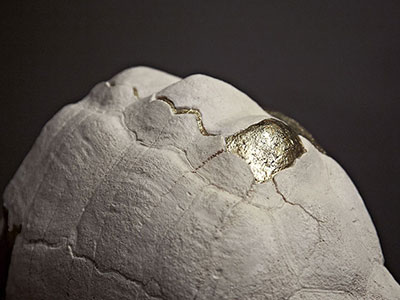 Jenna Burchell Artwork