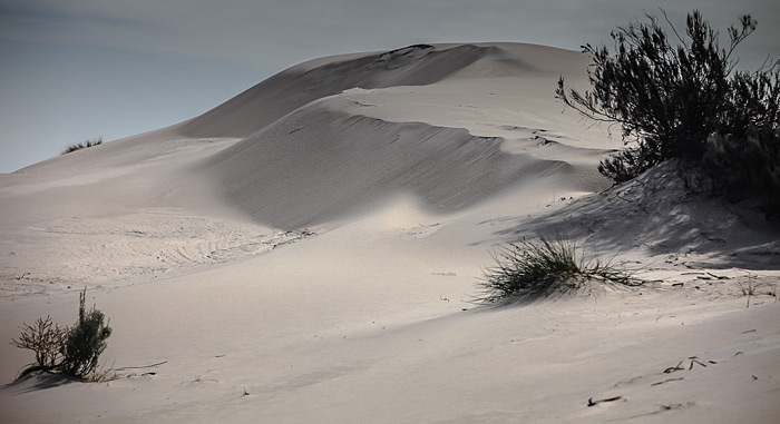 The landscapes of Michel le Sueur - An interview with a fine art photographer Article Image
