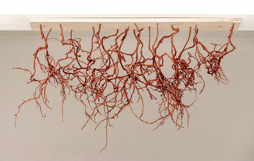 Danelle Janse van Rensburg's bleeding roots explores the interconnectedness of all life Article Image