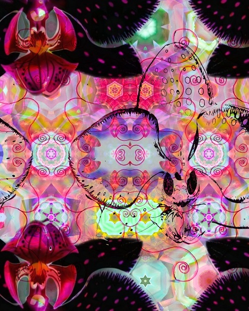 Nicole Rowe Artwork