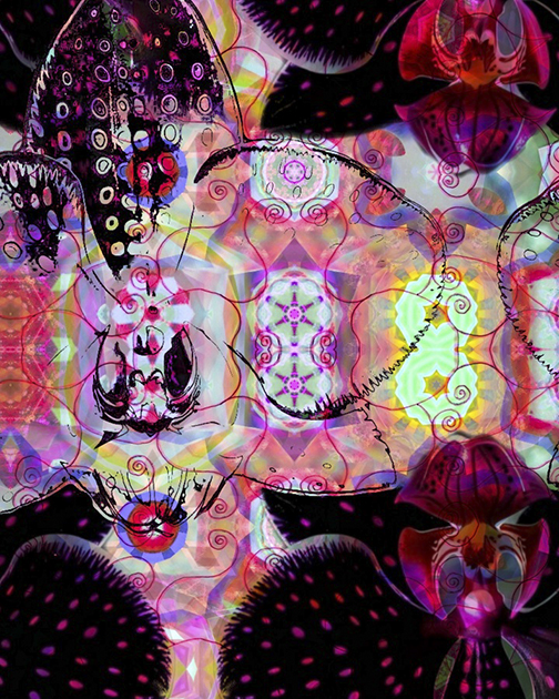 Nicole Rowe Artwork